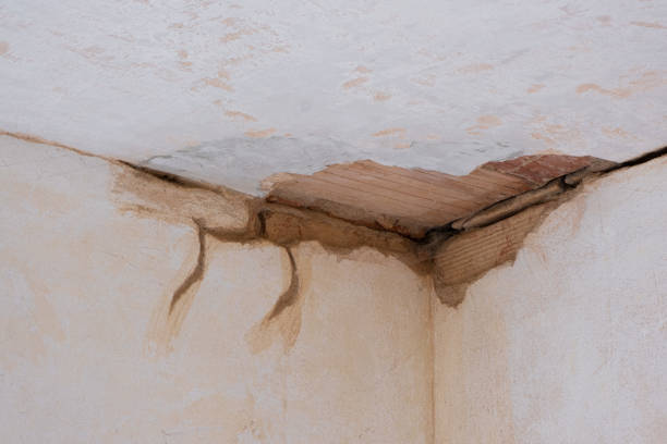 Best Local water damage restoration  in Woodway, TX