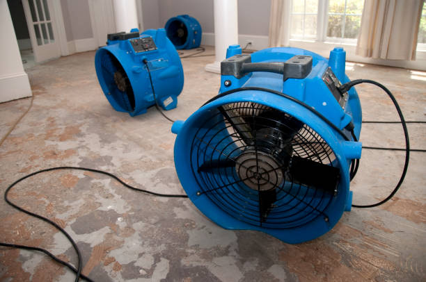 Best Emergency water extraction  in Woodway, TX